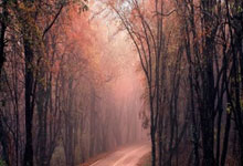 狗子28:决裂!曝拉什福德与阿莫林势同水火:已不再讲话 球员被封杀2个月.