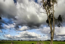 狗子28:福伊特:尽管与皇马比赛会非常艰难,但与这些顶级球员交手太棒了.