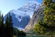 上海队输球坑惨广东队!排名身不由己 恐季后赛一轮游.